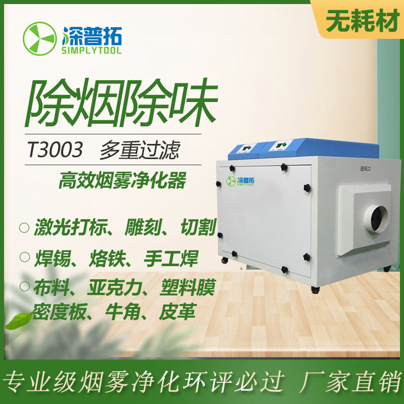 T3003